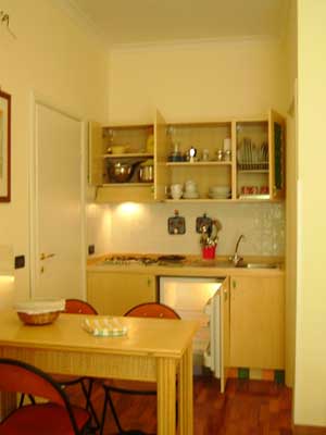 3 person executive 1 room apartment with city view, and private facilities